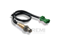 Lambda sensor