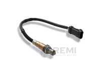 Lambda sensor