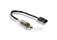 Lambda sensor