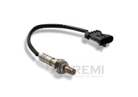 Lambda sensor