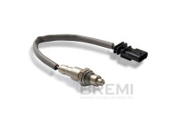 Lambda sensor