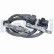 NOx sensor, NOx catalyst NOx sensor, NOx catalyst
