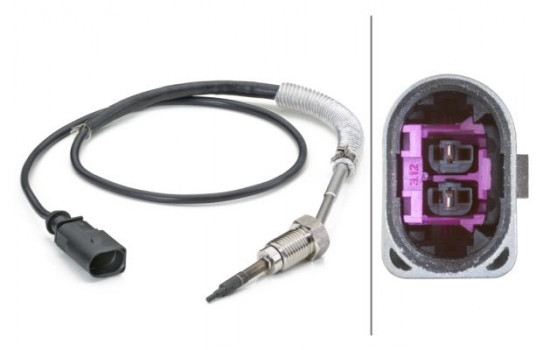 Sensor, exhaust gas temperature