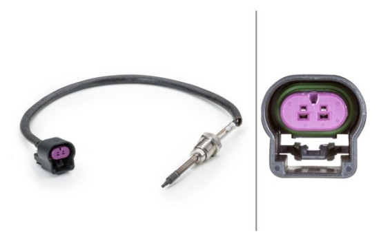 Sensor, exhaust gas temperature