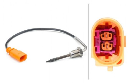 Sensor, exhaust gas temperature