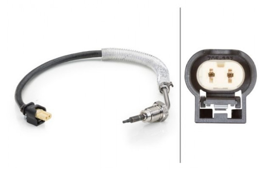 Sensor, exhaust gas temperature