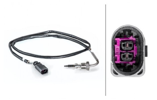 Sensor, exhaust gas temperature