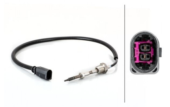 Sensor, exhaust gas temperature