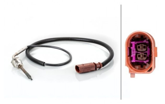 Sensor, exhaust gas temperature