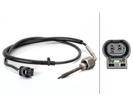Sensor, exhaust gas temperature
