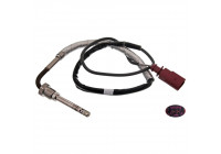 Sensor, exhaust gas temperature