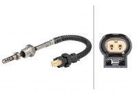 Sensor, exhaust gas temperature