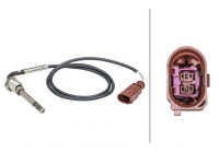 Sensor, exhaust gas temperature