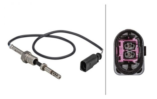 Sensor, exhaust gas temperature