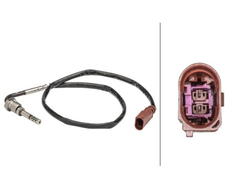 Sensor, exhaust gas temperature