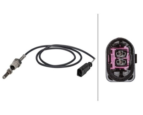 Sensor, exhaust gas temperature