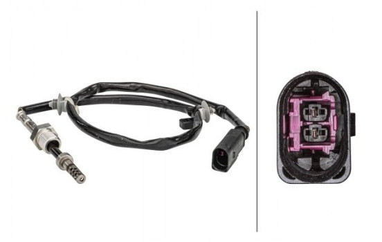 Sensor, exhaust gas temperature