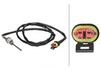 Sensor, exhaust gas temperature