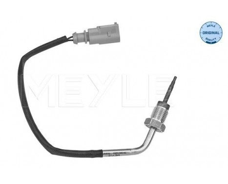 Sensor, exhaust gas temperature