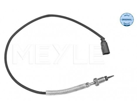 Sensor, exhaust gas temperature