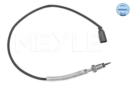 Sensor, exhaust gas temperature