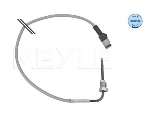 Sensor, exhaust gas temperature