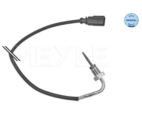 Sensor, exhaust gas temperature