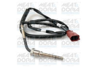 Sensor, exhaust gas temperature