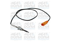 Sensor, exhaust gas temperature