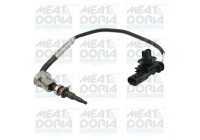 Sensor, exhaust gas temperature