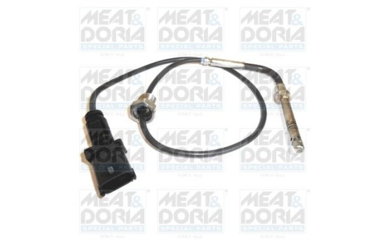 Sensor, exhaust gas temperature