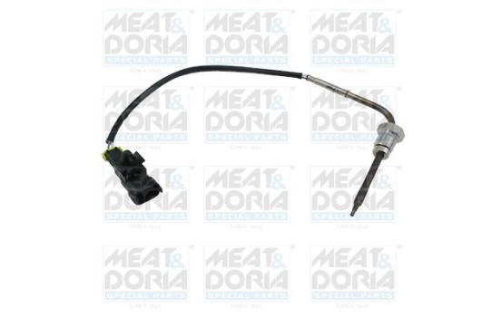 Sensor, exhaust gas temperature