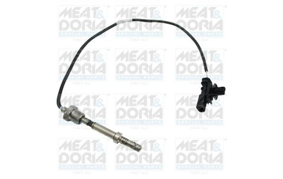 Sensor, exhaust gas temperature