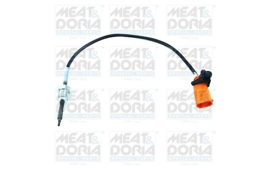 Sensor, exhaust gas temperature