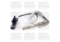 Sensor, exhaust gas temperature
