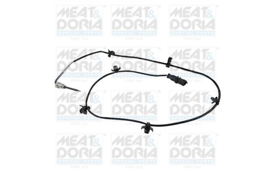 Sensor, exhaust gas temperature