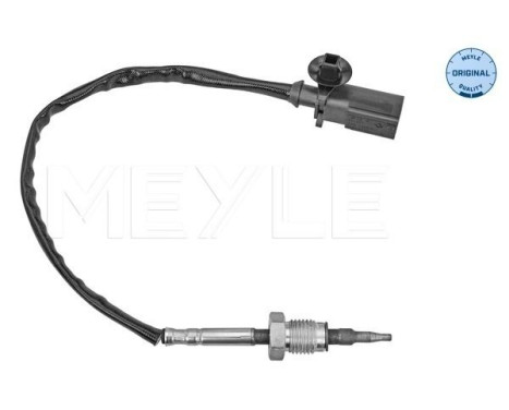 Sensor, exhaust gas temperature