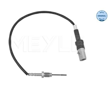 Sensor, exhaust gas temperature