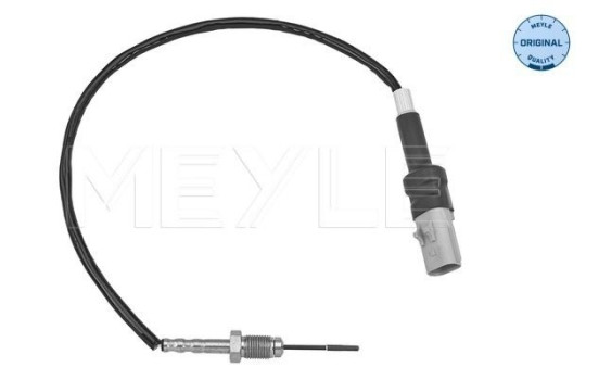 Sensor, exhaust gas temperature