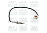 Sensor, exhaust gas temperature