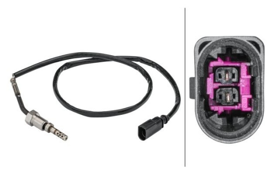 Sensor, exhaust gas temperature
