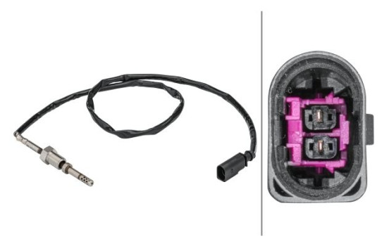 Sensor, exhaust gas temperature