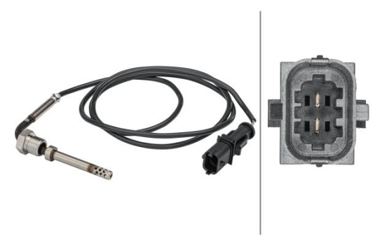 Sensor, exhaust gas temperature