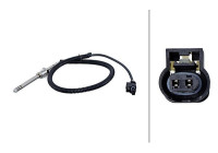Sensor, exhaust gas temperature