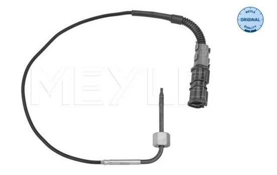Sensor, exhaust gas temperature