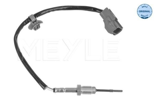 Sensor, exhaust gas temperature