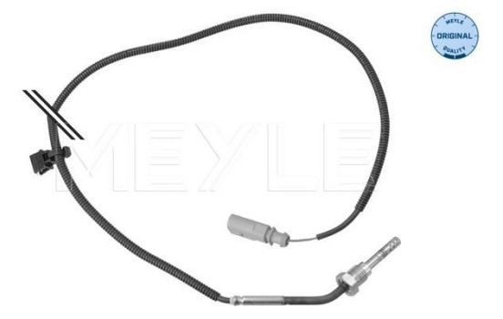 Sensor, exhaust gas temperature