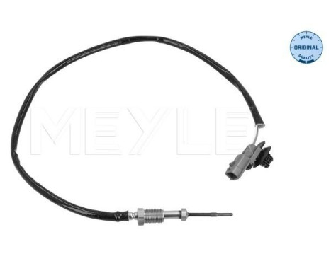 Sensor, exhaust gas temperature