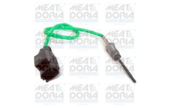 Sensor, exhaust gas temperature