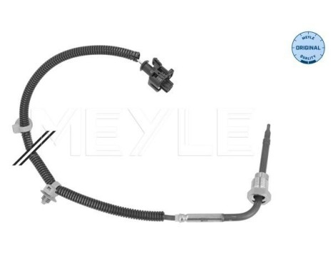 Sensor, exhaust gas temperature